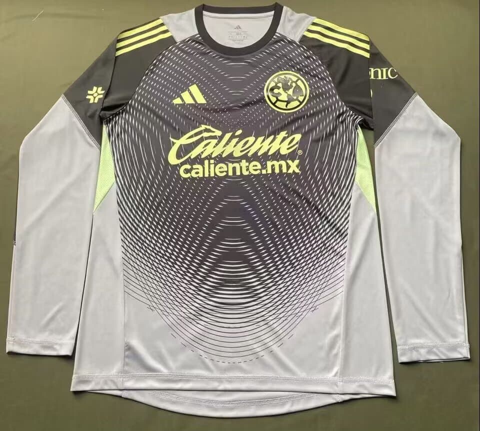 Jersey Portero Gris America Version Jugador Manga Larga