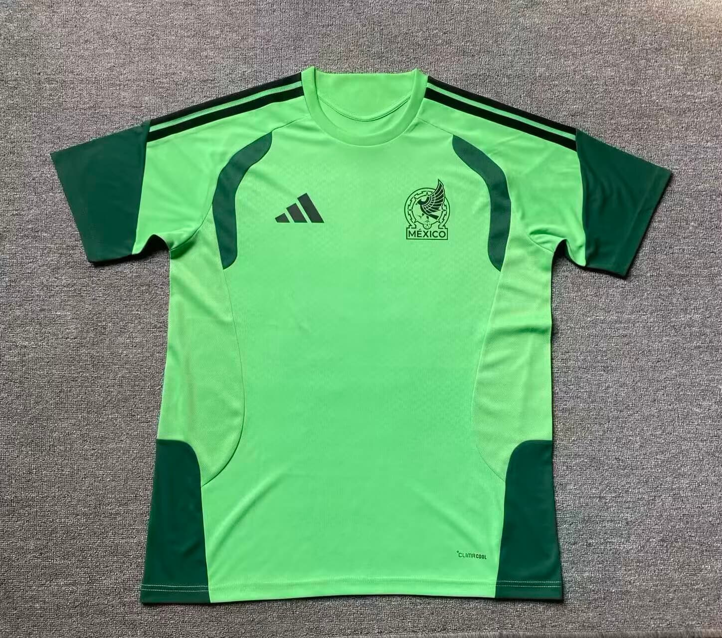 Jersey Verde Mexico Version Jugador