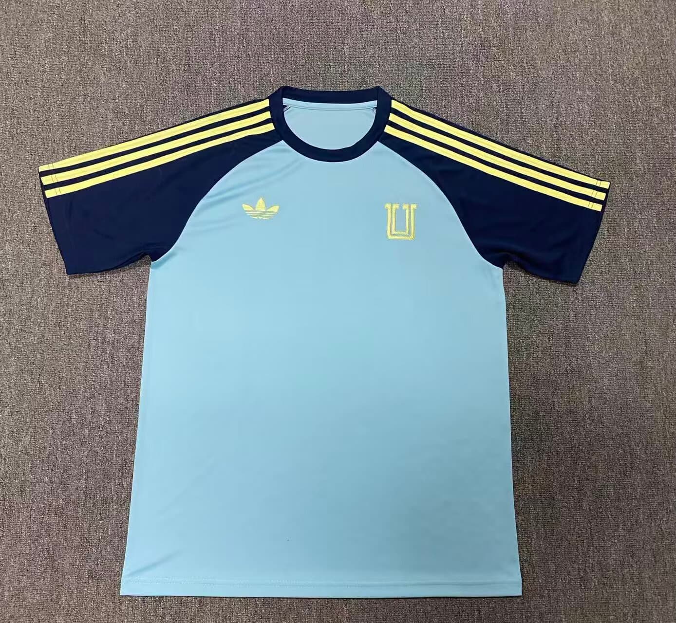 Jersey Retro Azul Tigres